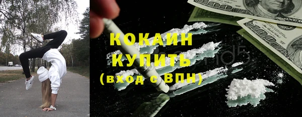 индика Алексеевка