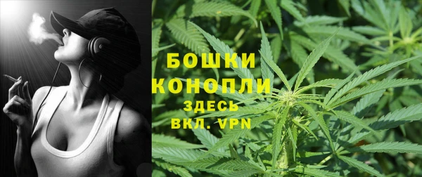 гашиш Касимов